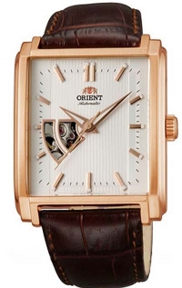 �������� ������� ���� Orient FDBAD002W0