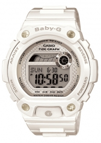 �������� ������� ���� CASIO BLX-100-7ER