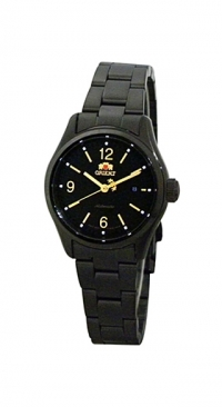 �������� ������� ���� Orient FNR1R001B 