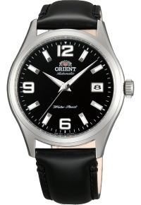 �������� ������� ���� Orient FER1X003B0