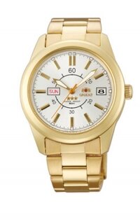 �������� ������� ���� Orient BEM71001SJ 
