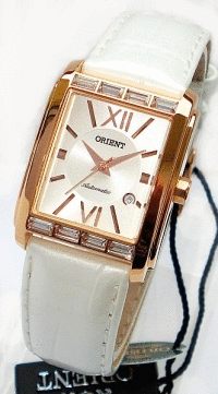 �������� ������� ���� Orient CNRAP003W0